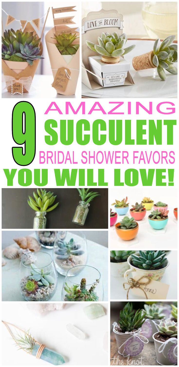Succulent Bridal Shower Favors