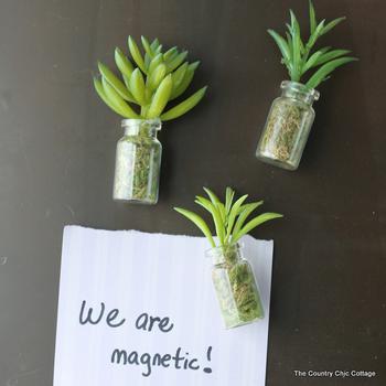 Succulent Jar Magnets