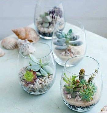 Succulent In Wine Glass