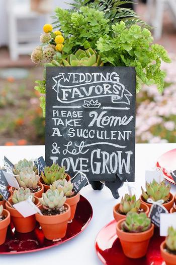 Succulent Wedding Favor Idea